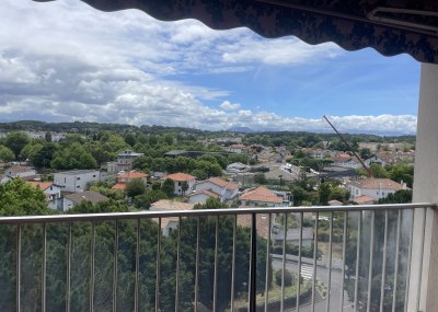 vue